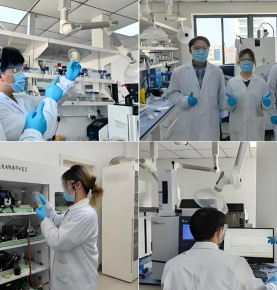 TIANJIN SINO CHEMICAL CO.,LTD -- Scientific Research Strength