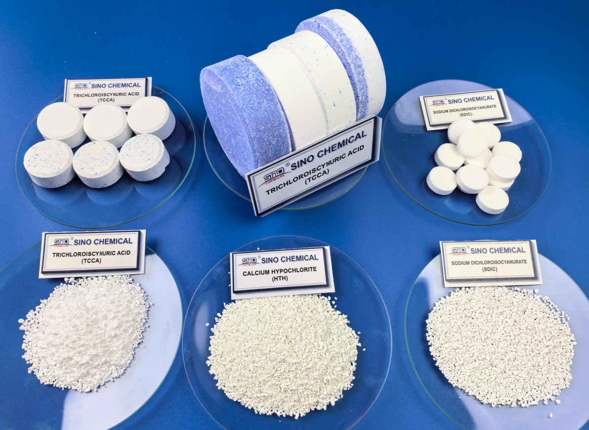 1764659774643251.png TCCA.png