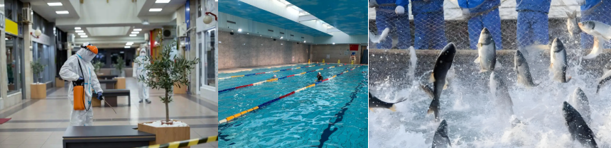 1764659822225814.png application.png